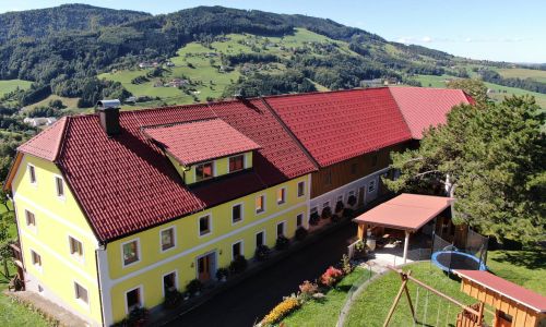 Sanierung Weckman Dach